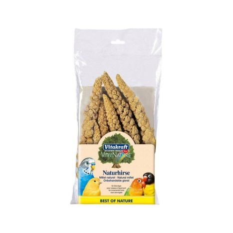 Vita. 100g     Kolbenhirse      GVE 14