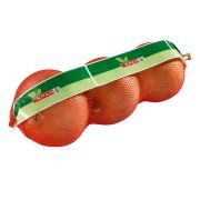 Spar Zwiebel Gelb