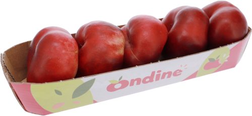 Produktbild von Nektarine ONDINE Saturn ,