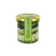 Fürstenhof Frischkaese Baerlauch Bio