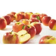 Slika produkta Äpfel Jazz per kg