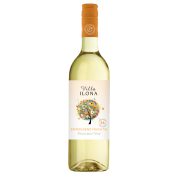 Slika produkta Villa Ilona Erfrischend Fruchtig