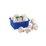 Champignon Weiss