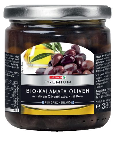 olivenbaum vase Knstlicher Olivenbaum - Ilias | 270 cm