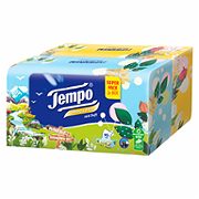 Tempo Limited Edition Taschentücher-Box Gartenglück 2 x 70 Stück