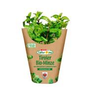 Slika produkta SPAR Natur*pur