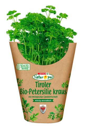 Produktbild von SPAR Natur*pur, Bio-Petersilie kraus im Topf