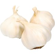 Slika produkta Elefantenknoblauch