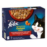 Slika produkta Felix Sensations