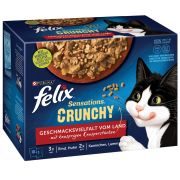 Felix Katzenfutternass Fleisch Crunchy