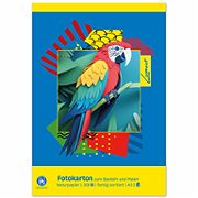 Format Dürer Fotokartonblock A3 10 Blatt sortiert