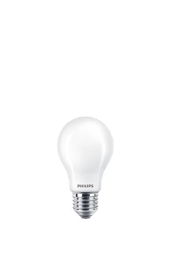 Produktbild von Philips, LED Birne E27 100W matt
