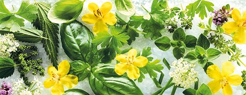 Produktbild von SPAR PREMIUM Edition Johanna Maier, Bio-Bauerngarten-Salz