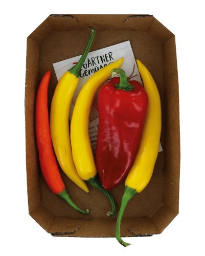 Produktbild von Chili Mix 75g,