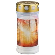 Slika produkta SIMPEX BASIC