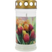 Slika produkta SIMPEX BASIC