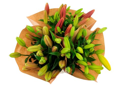Produktbild von Lilien Strauss ,