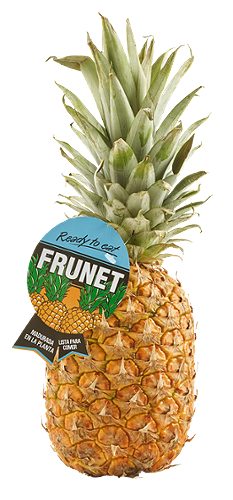 Produktbild von Gourmet, Ananas