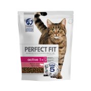 Slika produkta Perfect Fit Active