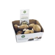 Slika produkta SPAR