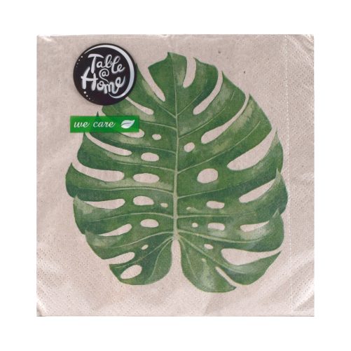 philodendron sodiroi care Philodendron sodiroi aff – Carnivero