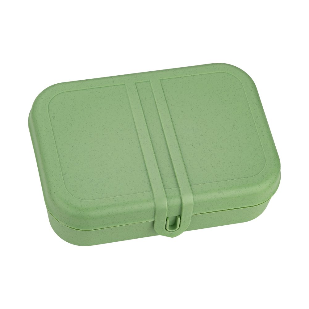 Lunchbox       Pascal           GVE 6