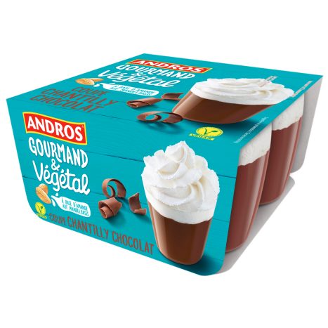 Andros Gourmand & Végétal Schoko Dessert 