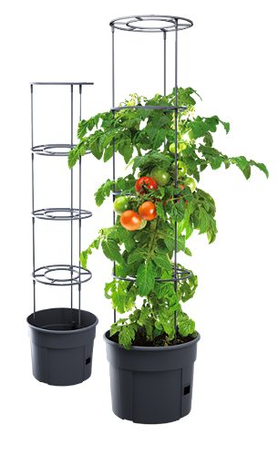 Produktbild von Tomatenanzucht-topf 30cm ,