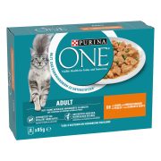 Purina Katzenfutternass Huhn