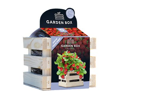 Produktbild von Baza, Gartenbox Saftige Erdbeeren