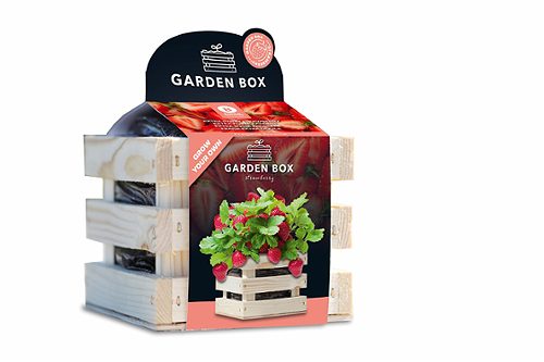 Produktbild von Baza, Gartenbox Extra süße Erdbeeren