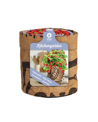 Produktbild von Baza, Küchengarten Saftige Erdbeere