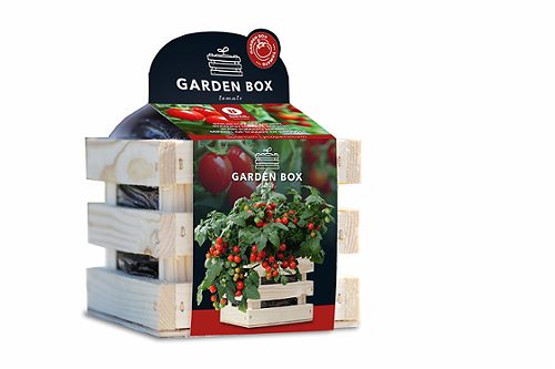 Produktbild von Baza, Anzuchtset Gartenbox Tomatenstrauch Minibel