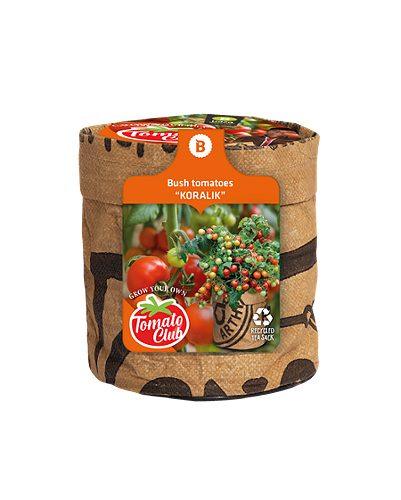 Produktbild von Baza, Küchengarten Tomatenstrauch BIO Koralik