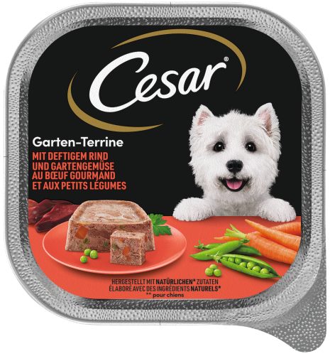hundefutter trocken Alleskönner | Das Insekten Hundefutter | Trockenfutter main image 1