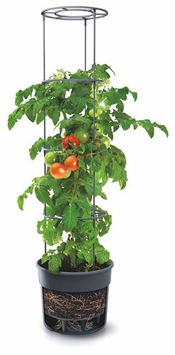 Produktbild von Tomatenanzucht-topf 40cm ,