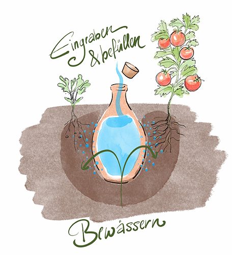 Produktbild von Bewaesserungskrug Olla L ,
