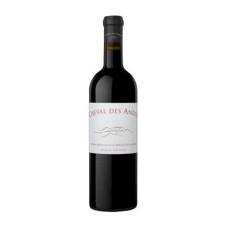 Cheval des     Andes 2020  075  GVE 6