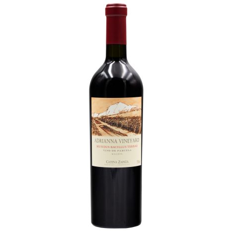 Adrianna MundusBacillus 20 075  GVE 3