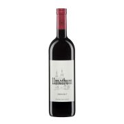 Umathum Rotwein Zweigelt