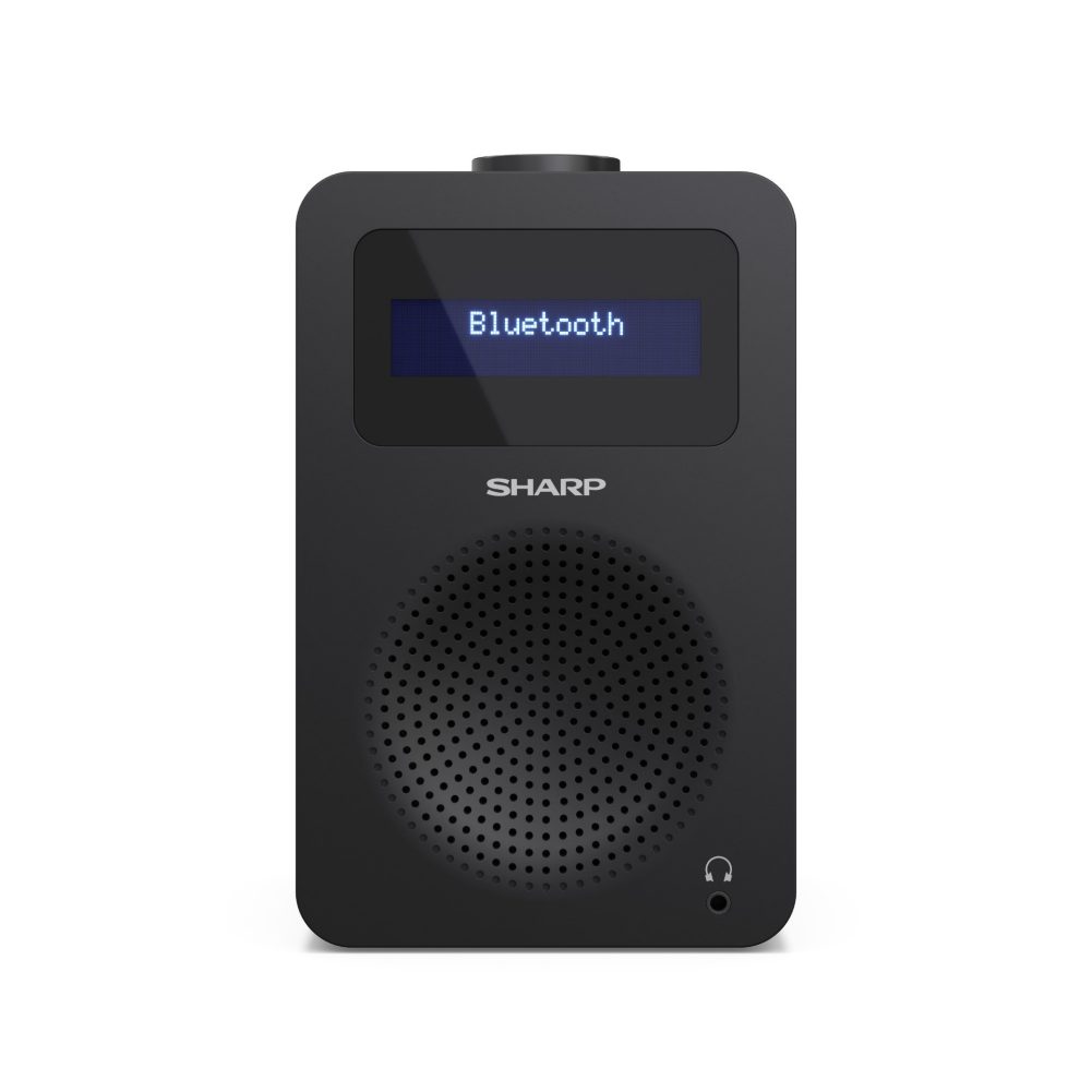 Sharp DAB Radio DR-430          GVE 1
