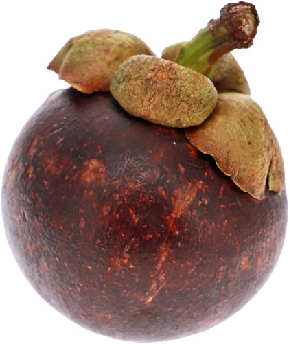 Produktbild von Mangosteen per Stk.,