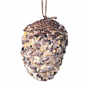 Stengel Riesen-Pinienzapf.350g
