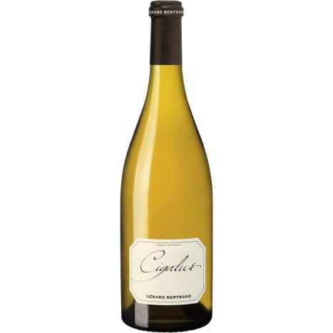 Bertrand blanc Cigalus     075  GVE 6