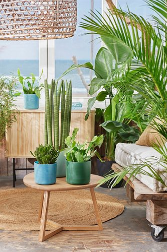 Produktbild von Elho, Blumentopf Ocean Collection Blau 14cm
