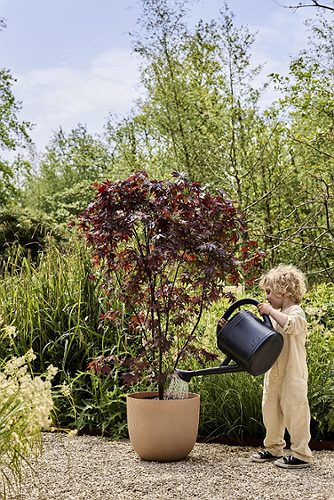 Produktbild von Elho, Blumentopf Sereh beige 30 cm