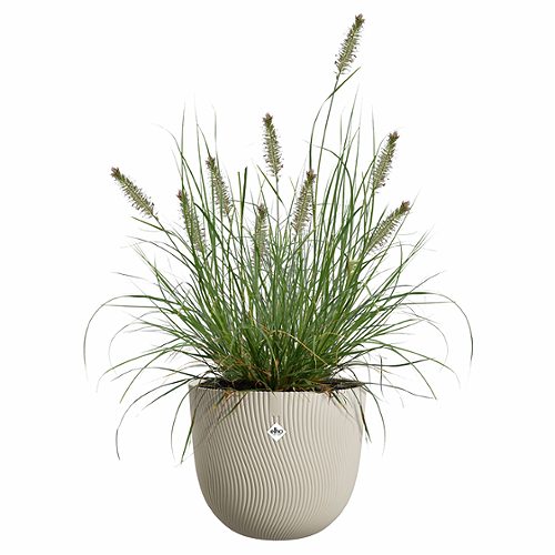 Produktbild von Elho, Blumentopf Sereh beige 30 cm