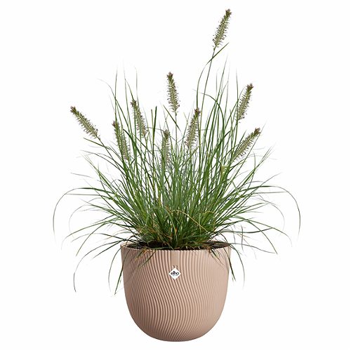 Produktbild von Elho, Blumentopf Sereh clay 30 cm