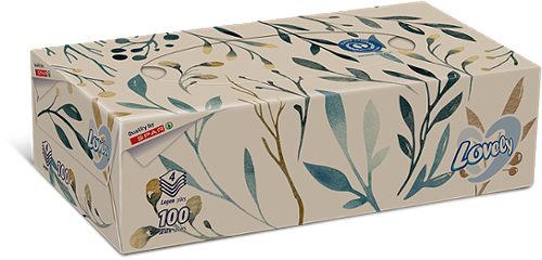 Produktbild von Lovely, Taschentücher-Box Recycling 100 Stück
