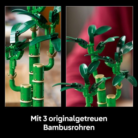 LEGO Botanicals Glcks-Bambus 10344 online kaufen | INTERSPAR